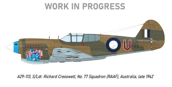 Eduard R0023 1/48 Curtis P-40E Kittyhawk Ia Royal Class Special Edition - Image 12