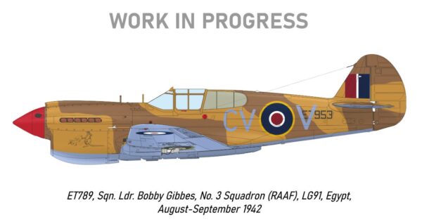 Eduard R0023 1/48 Curtis P-40E Kittyhawk Ia Royal Class Special Edition - Image 15