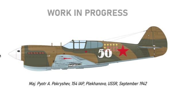 Eduard R0023 1/48 Curtis P-40E Kittyhawk Ia Royal Class Special Edition - Image 16